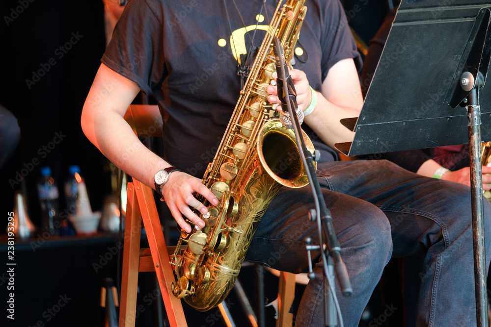 Obraz premium Musician playing saxophone at live concert on the stage
