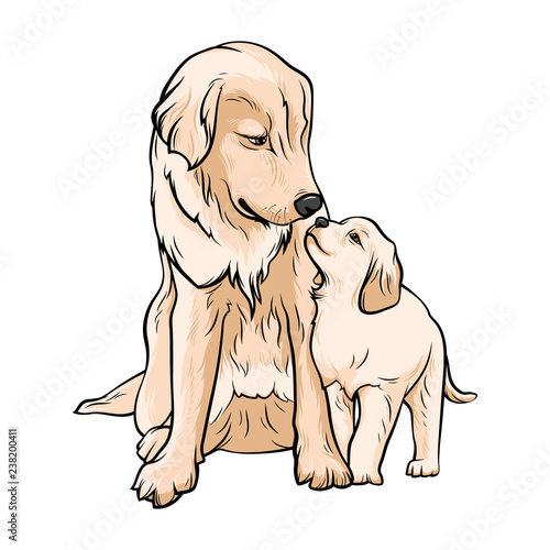 Labrador with a puppy sitting and looking at each other