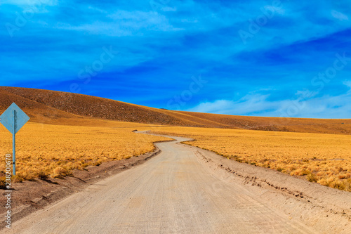 Dirt road in the Atacama Desert, with typical yellow colored vegetation, colorful blue sky with clouds and signaling plate. Atacama Desert, Chile, South America, July 12, 2017.