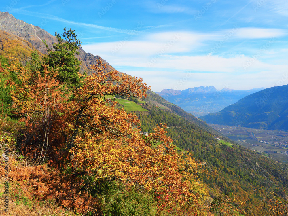 Der goldene Herbst in Südtirol