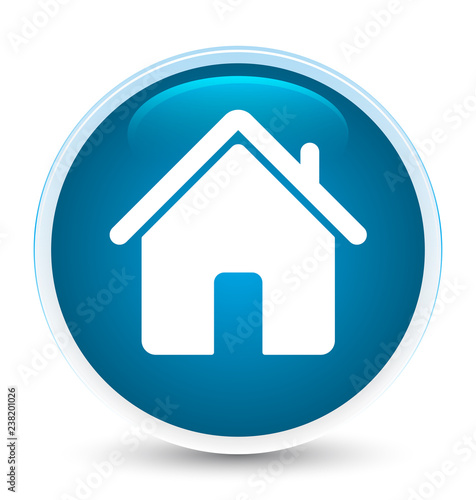 Home icon special prime blue round button