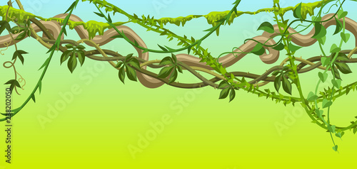 Twisted wild lianas branches banner.
