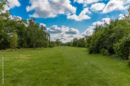 Green field and dramatic sky