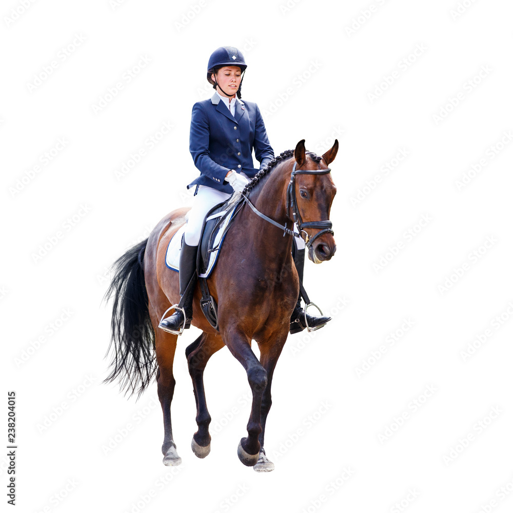 Obraz premium Young dressage woman on horse isolated on white