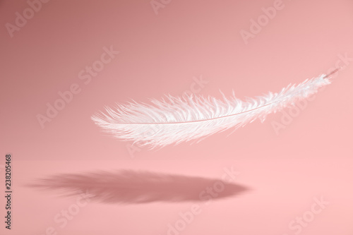 Fényképezés Feather on pink background