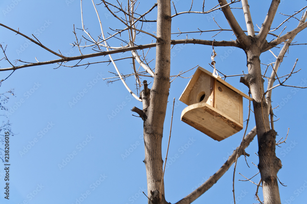 Birdhouse on a tree over blue sky Birdhouse on a tree over blue sky