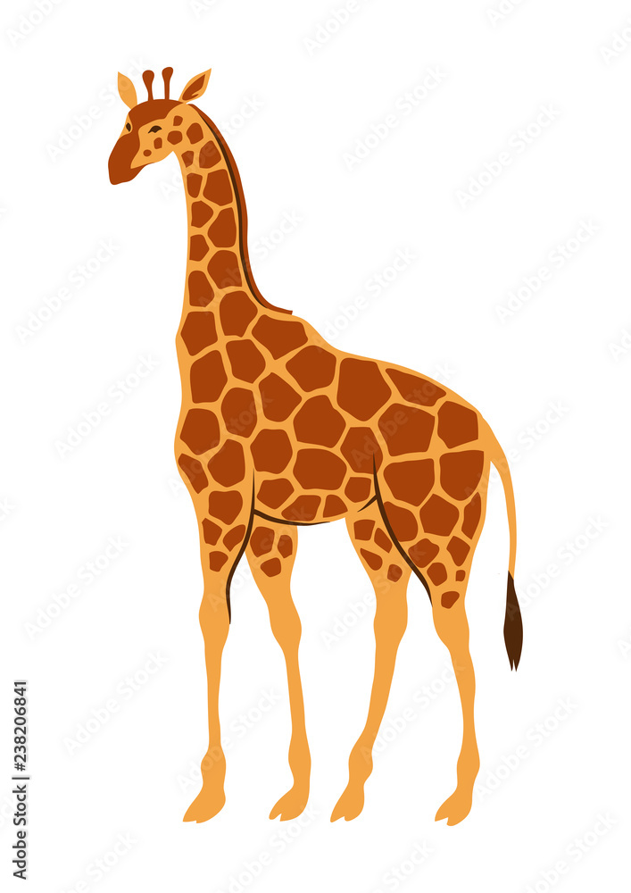 Stylized illustration of giraffe. Stylized illustration of giraffe.