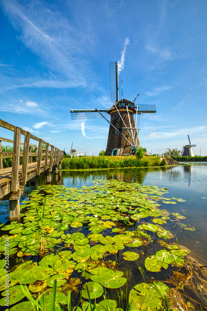 Fototapeta premium view of traditional windmills in Kinderdijk, The Netherlands.