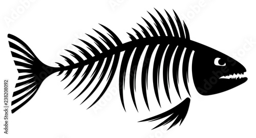 Skeleton of fish. 