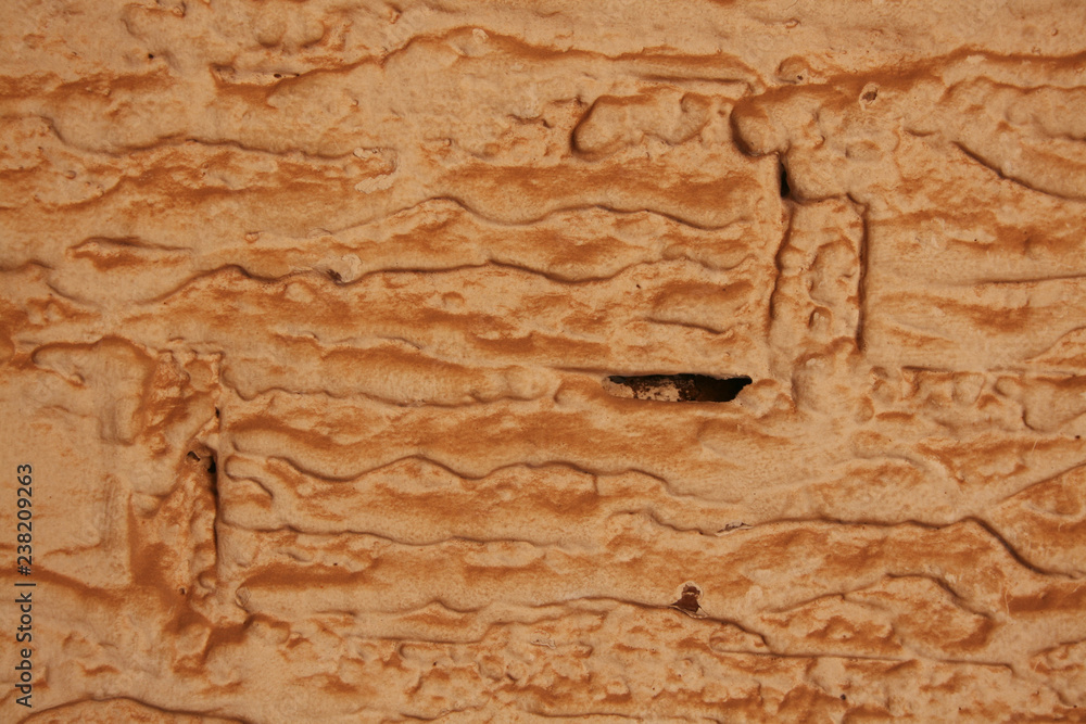 Naklejka premium WARM TEXTURE