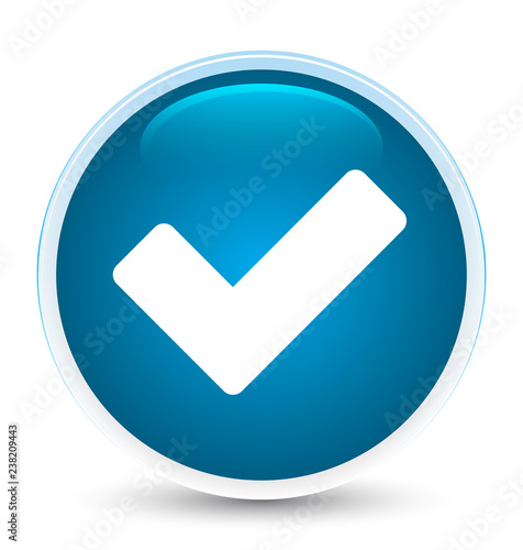 Validate icon special prime blue round button