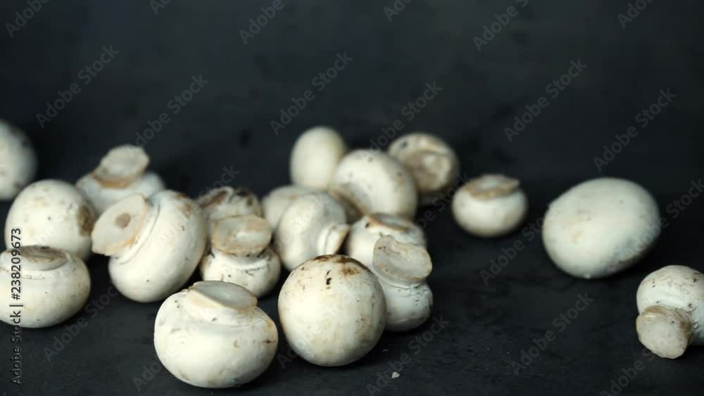 white mushrooms on a black background. raw ingredients. a lot of white mushrooms. isolated objects. white mushrooms on a black background. raw ingredients. a lot of white mushrooms. isolated objects.