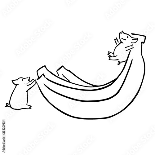 two vector funny cartoon pigs and banana