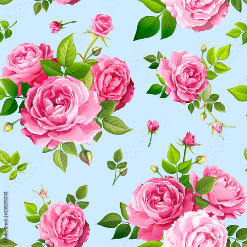 Seamless pattern with rose flowers