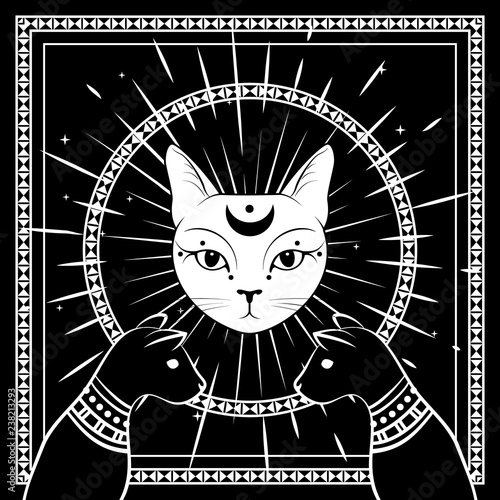 Black cats, cat face with moon on night sky with ornamental round frame. Magic, occult design.