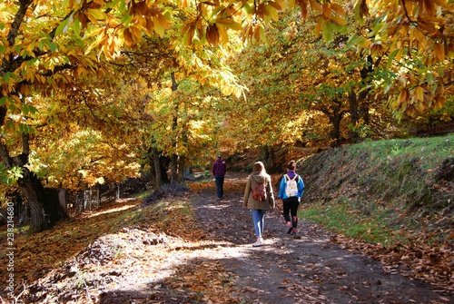 Hikers walking around Valle del Genal  Andalucia Spain  in Autumn