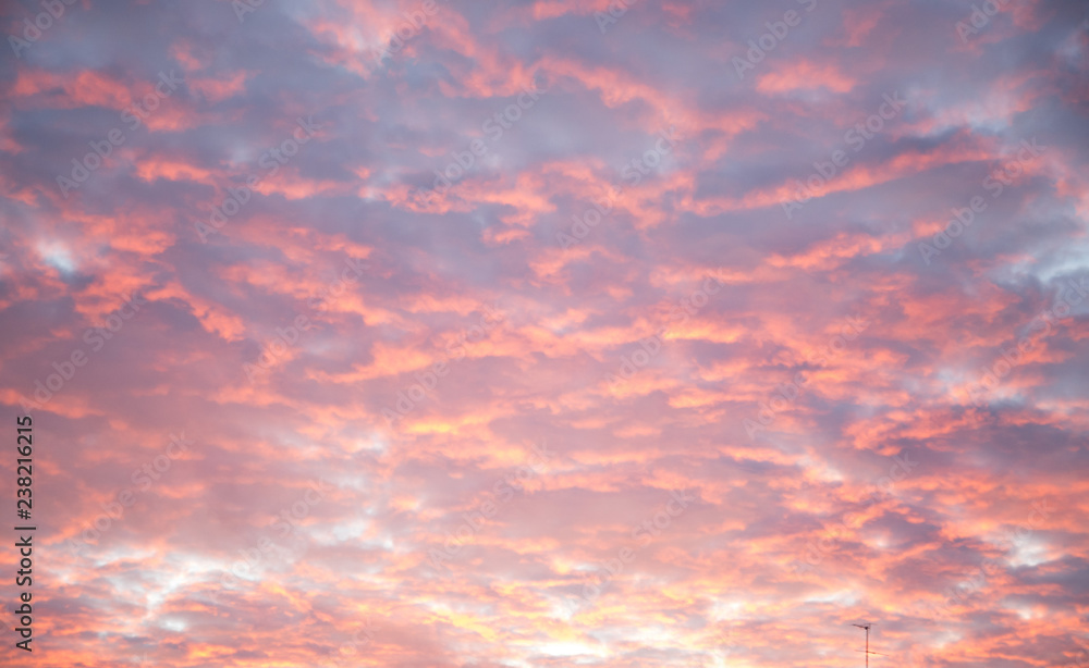 yellow-pink clouds fill the whole image yellow-pink clouds fill the whole image