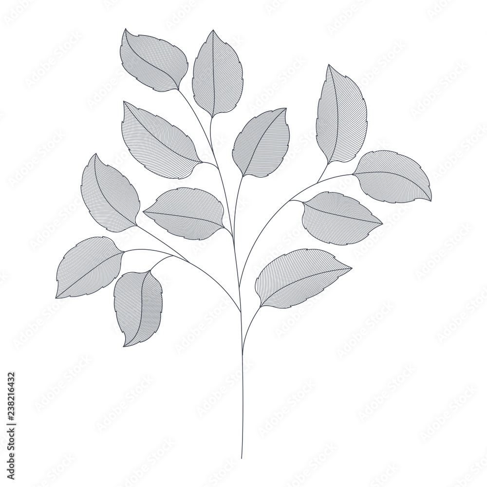 branches with leaves isolated icon branches with leaves isolated icon