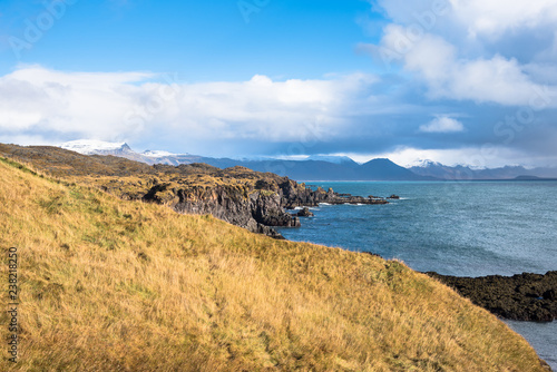 Rugged Coast of Iceland with a Grassy Slope in Foreground on a Sunny Fall Day photo