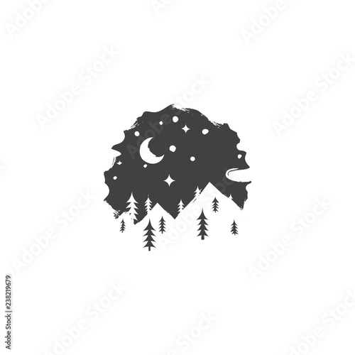 Winter night in forest