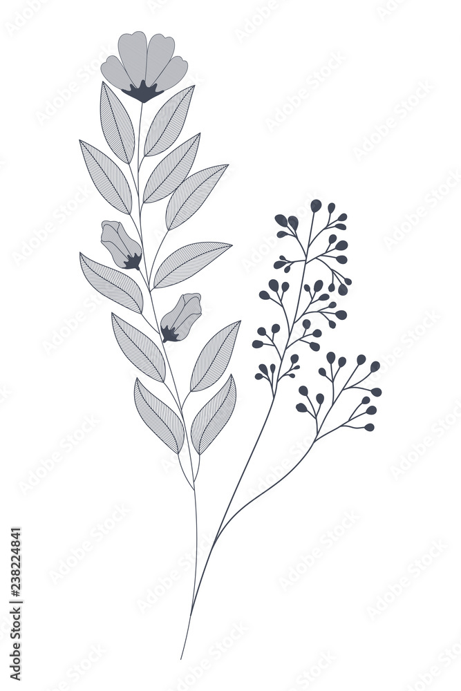 Fototapeta premium flowers with branches and leaves isolated icon