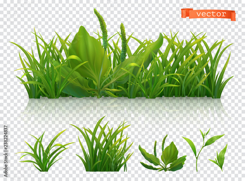Spring. Green grass, 3d realistic vector icon set