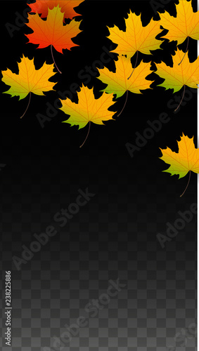 September Vector Background with Golden Falling Leaves. Autumn Illustration with Maple Red, Orange, Yellow Foliage. Isolated Leaf on Transparent Background. Bright Swirl. Suitable for Posters.
