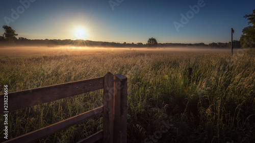 Sonnenaufgang   ber einer Wiese in der Eilenriede