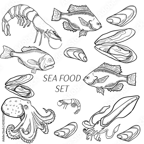 Set of sea food products