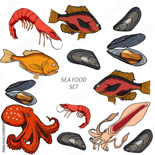 Set of colored sea food products