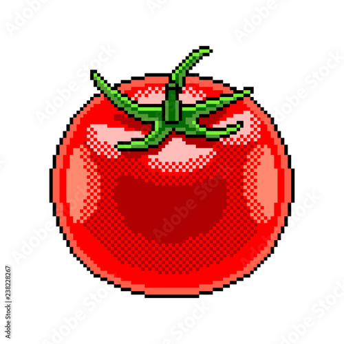 Pixel tomato fruit detailed illustration isolated vector