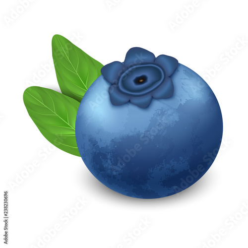 Bilberry icon. Realistic illustration of bilberry vector icon for web design isolated on white background