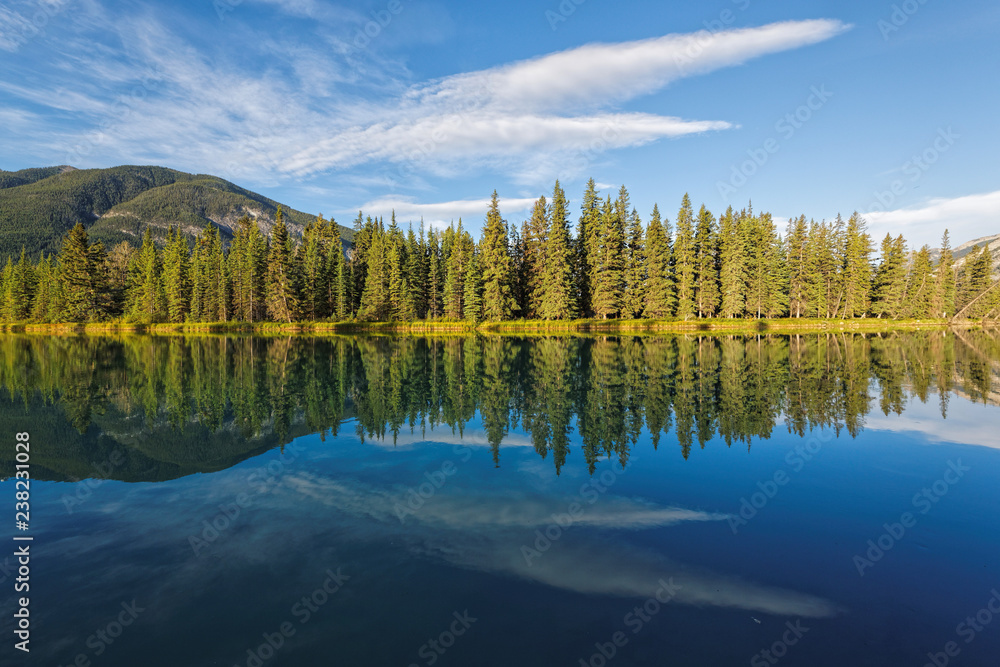 Reflection of trees in water with blue sky