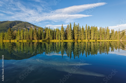 Fototapeta Naklejka Na Ścianę i Meble -  Reflection of trees in water with blue sky