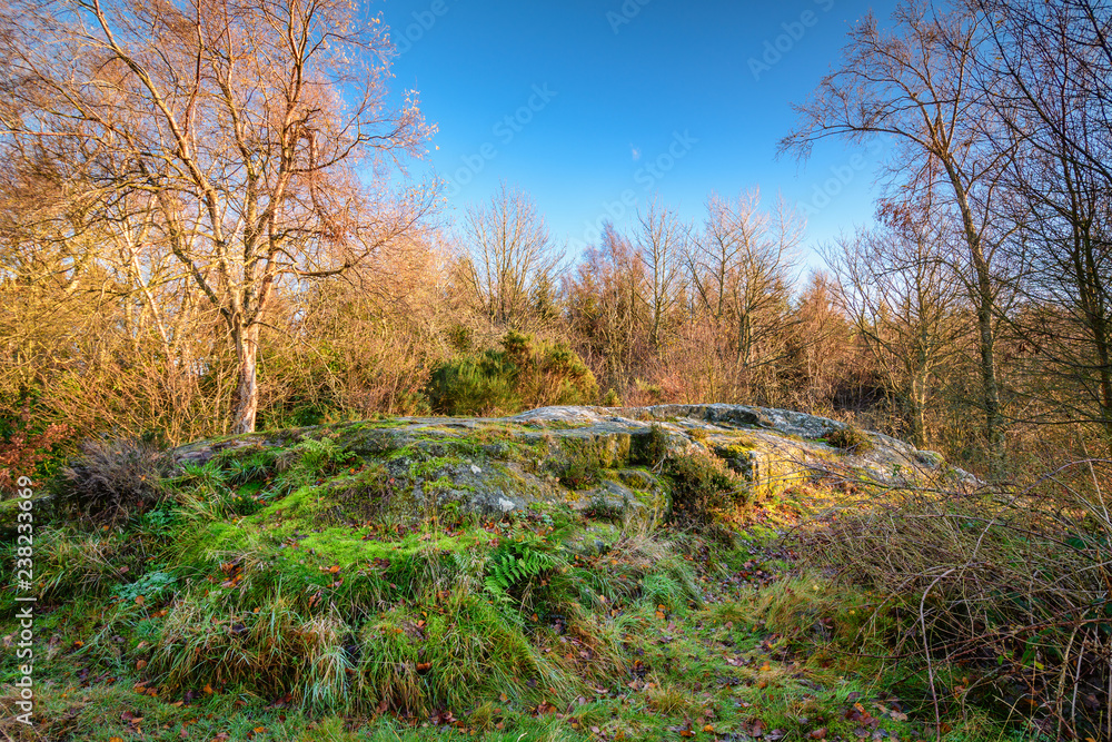 Obraz premium Routin Linn Sandstone Outcrop, a prehistoric Bronze Age rock art on the stone outcrop in northern Northumberland, known as both Roughting Linn and Routin Lynn