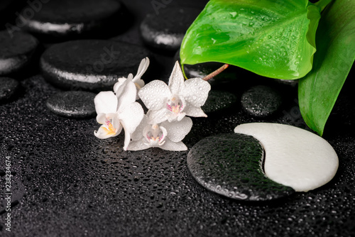 spa composition of zen and Yin-Yang stones  white orchid