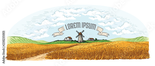 rural field with ripe wheat on background of mill, village and clouds. Color vector illustration