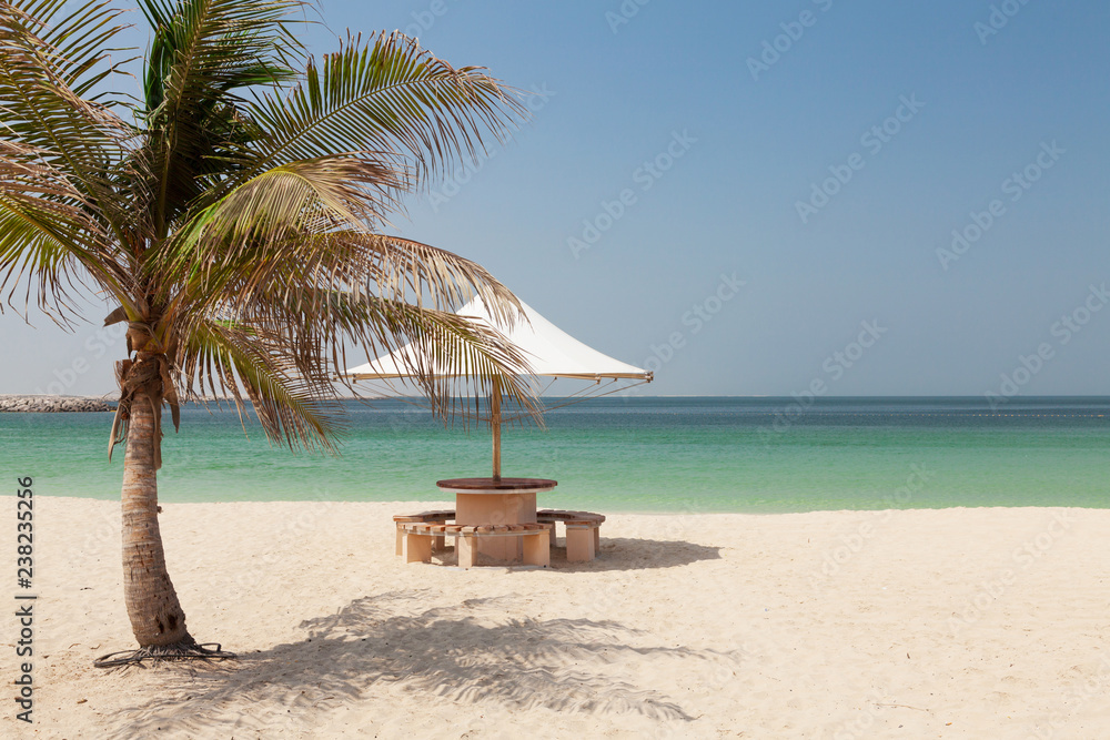 Tropical beach with palm and bright sand
