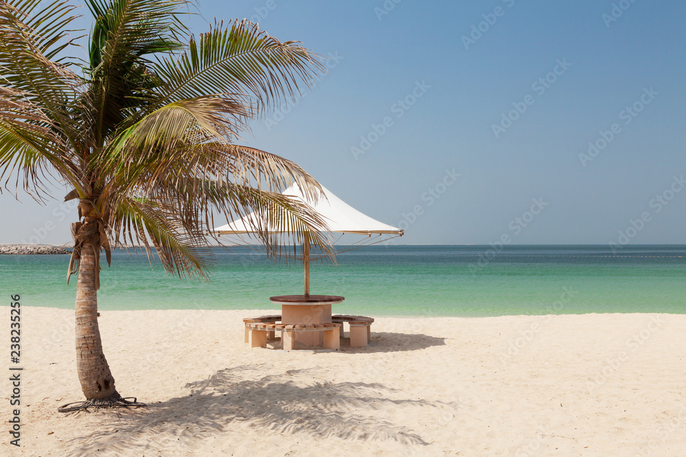 Tropical beach with palm and bright sand Tropical beach with palm and bright sand