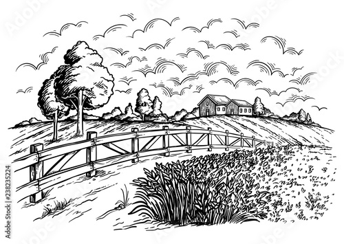 rural field with ripe wheat on background of mill and village, clouds. Color vector illustration