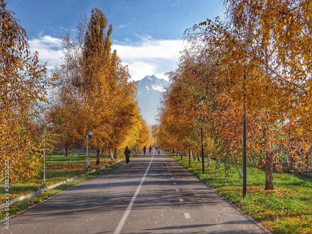 Obraz premium AitumnAlmaty