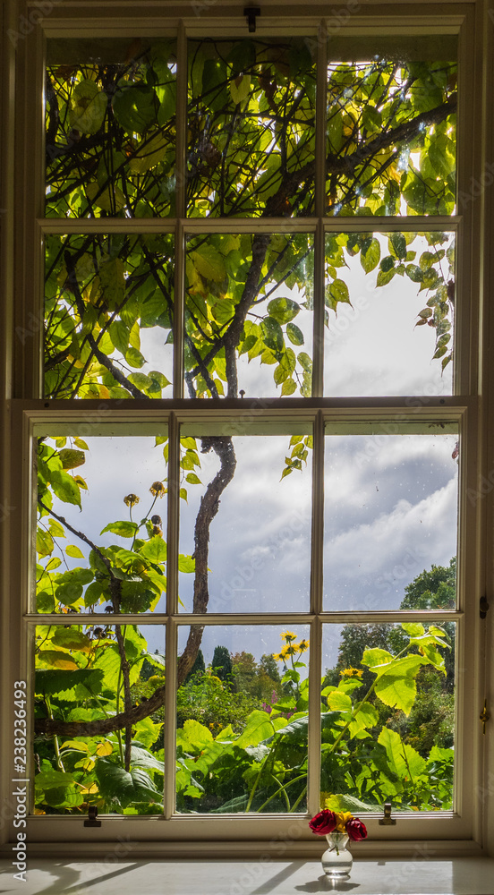 Blick auf einen bewölkten Himmel sowie ins Grüne und in die Natur aus einem Fenster mit Fensterbrett mit Vase Blick auf einen bewölkten Himmel sowie ins Grüne und in die Natur aus einem Fenster mit Fensterbrett mit Vase