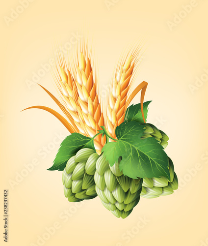 Wreath with hops and wheat. Floral composition with cones, leaves and branches. Isolated elements. Vintage hand drawn illustration in watercolor style.
