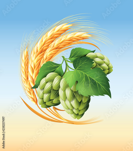 Wreath with hops and wheat. Floral composition with cones, leaves and branches. Isolated elements. Vintage hand drawn illustration in watercolor style.