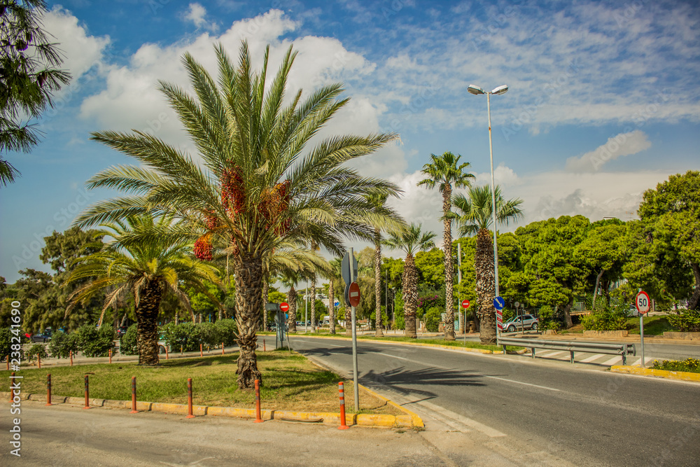 south Mediterranean city street avenue park outdoor environment with palm trees in summer clear colorful season day time