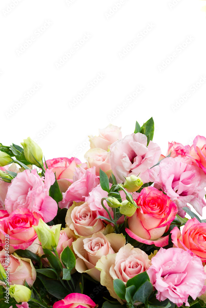 Rose and eustoma fresh flowers bouquet in two shades of pink border isolated on white background Rose and eustoma fresh flowers bouquet in two shades of pink border isolated on white background