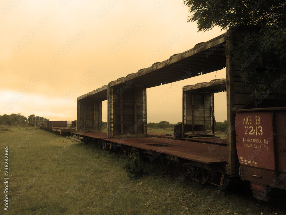 Obraz premium Forgotten Train Loerie RSA