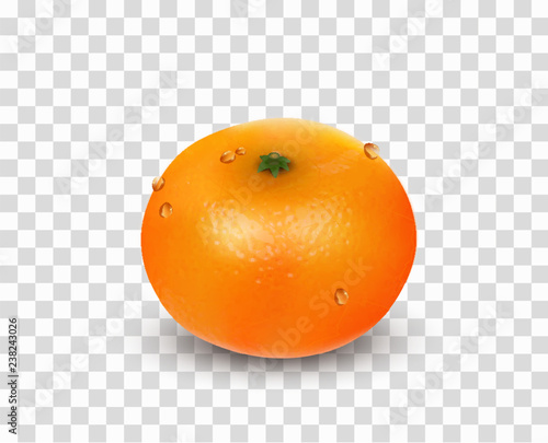 Single citrus fruit mandarin or tangerine without leaves isolated on a white background. Realistic Vector Illustration