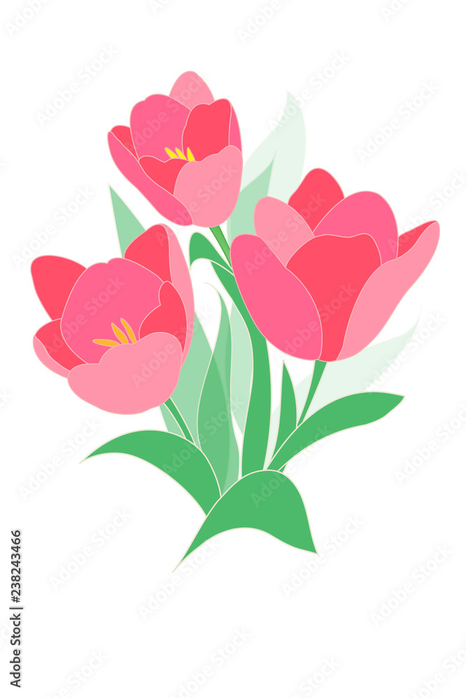 Tulips bouquet. Spring pink flowers on white background. Vector abstract drawing.