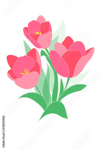 Tulips bouquet. Spring pink flowers on white background. Vector abstract drawing.